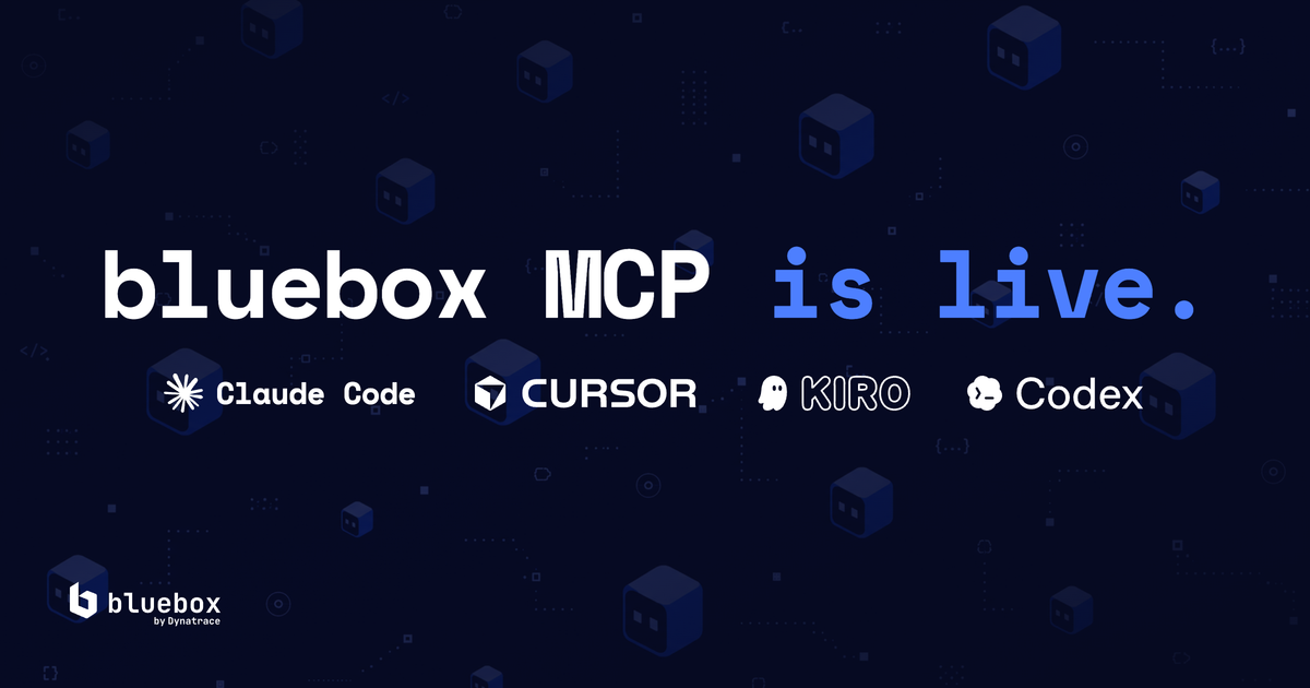 Introducing... Bluebox MCP